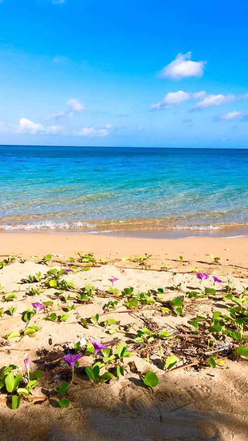 Beach Side House Alohana Ishigaki  Extérieur photo